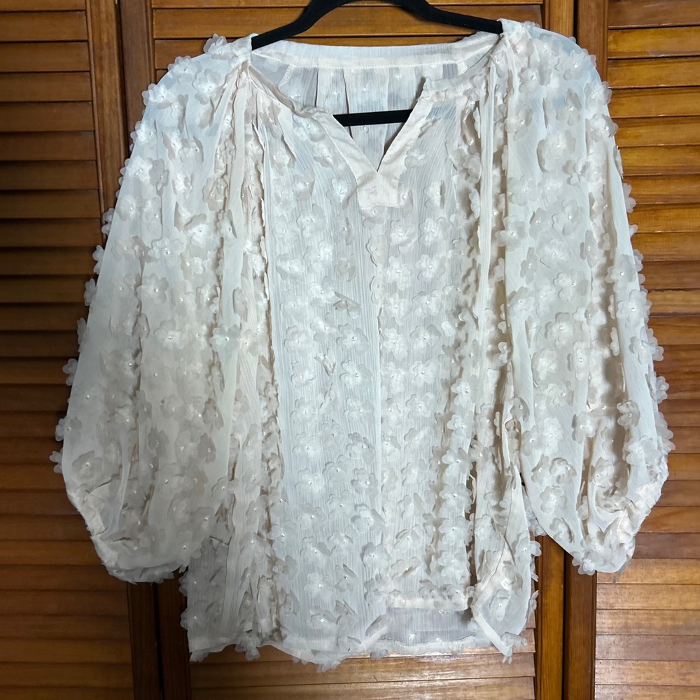 Chicwish Womens Soft Pink  3D Flor Applique V-Neck Lantern‎ Sleeve Blouse Size M